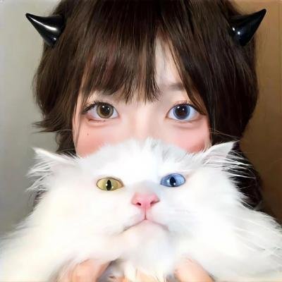功夫熊猫